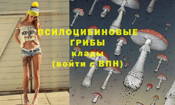 эйфоретик Армянск